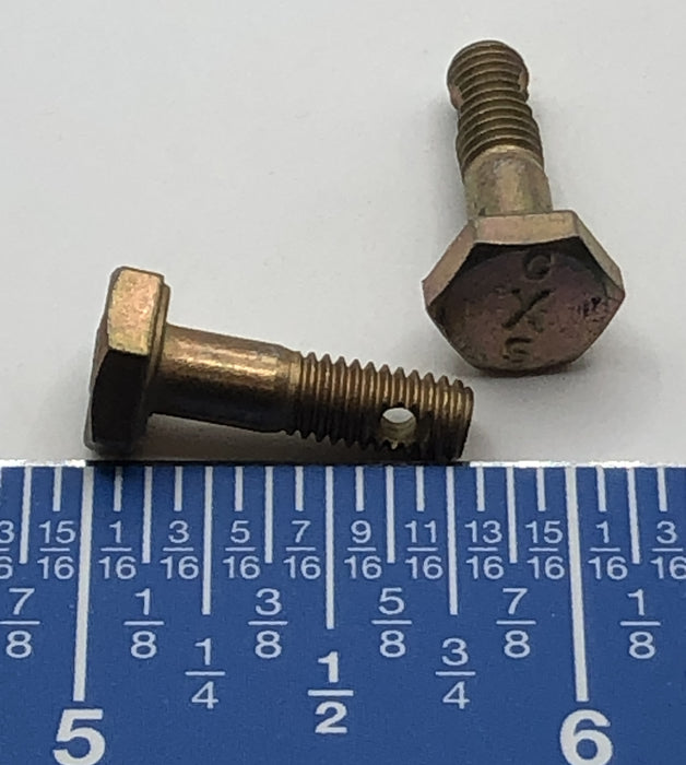 AN3-5 - Bolt